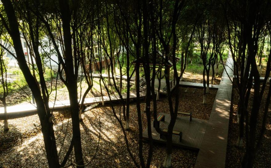 苏州市震泽镇“五美三优”乡村改造丨中国苏州-29