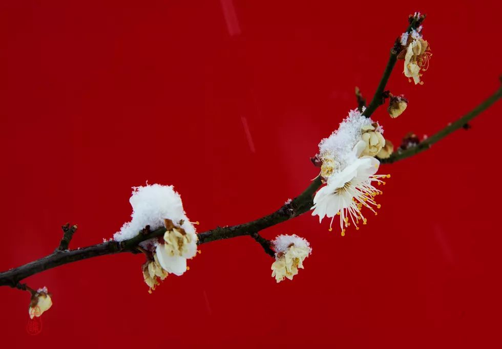 现代中式韵境，龙誉城 140 平家居艺术-15