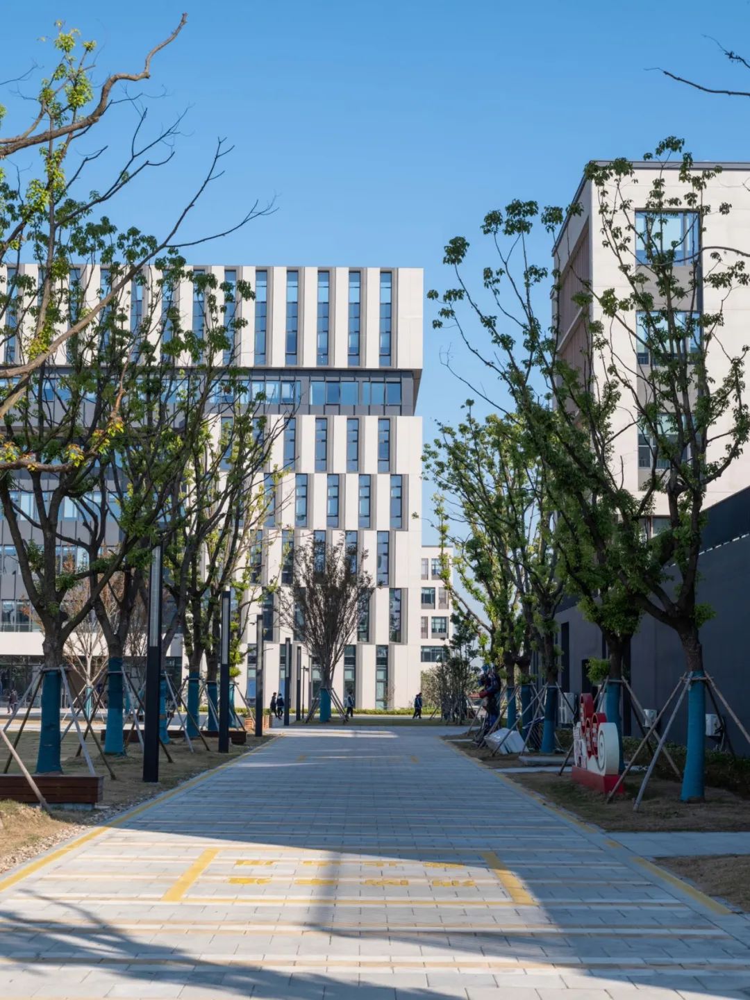 同济院新作｜浙江海盐职教中心-78