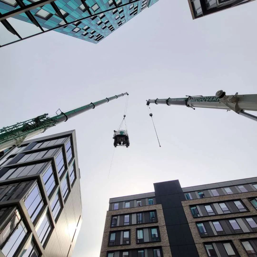 中英友谊之花 | 熊猫家族闪耀英国钢铁之城-39