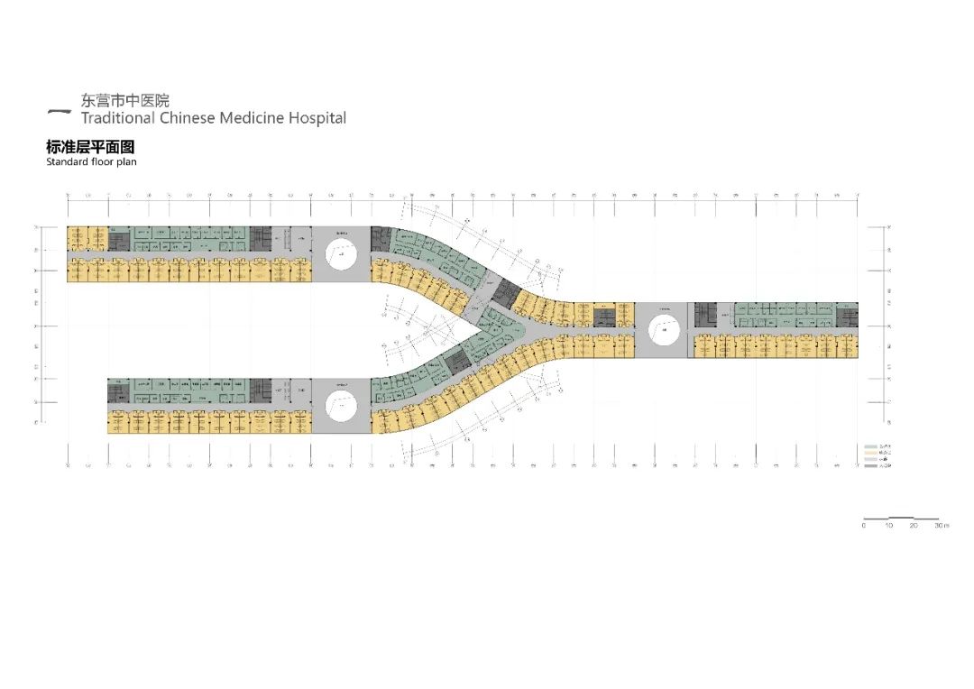 三个医院和一个“大”的梦想丨中国东营-57