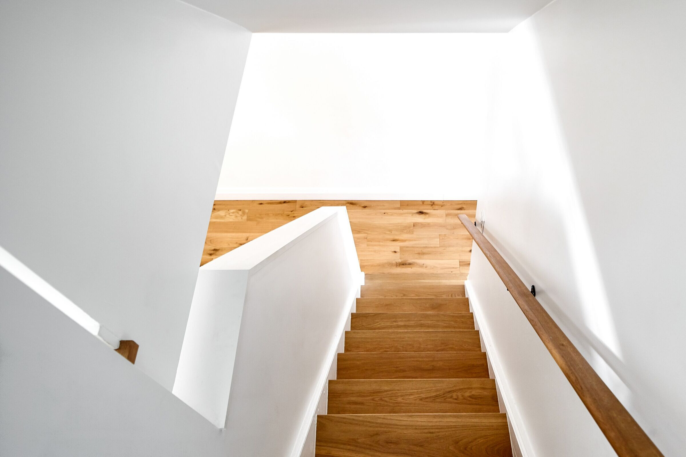 多伦多窄巷小宅的巧妙扩建-17