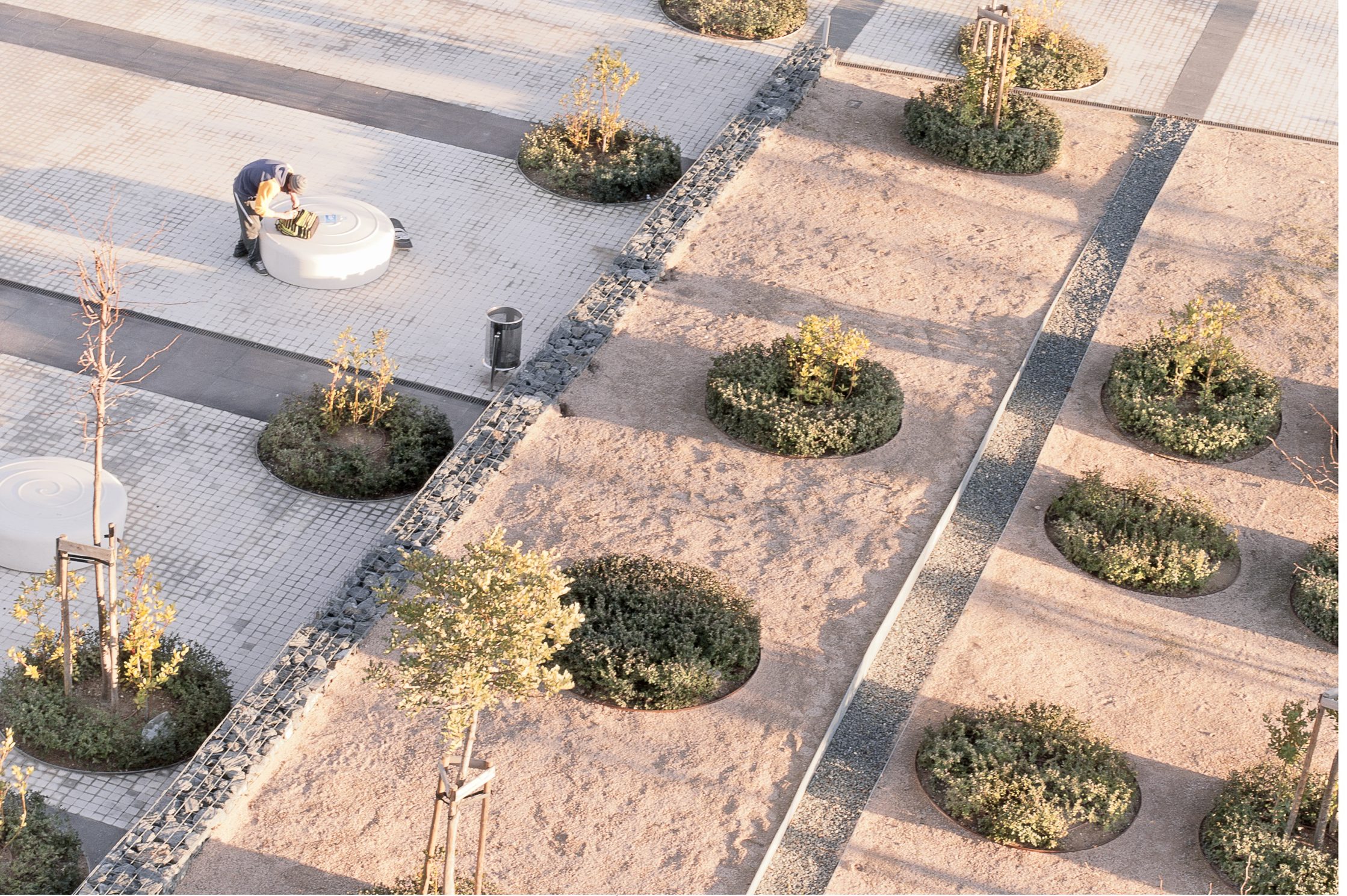 西班牙巴达霍斯金融中心景观设计丨Cjcpaisaje,Estudio Lamela-22