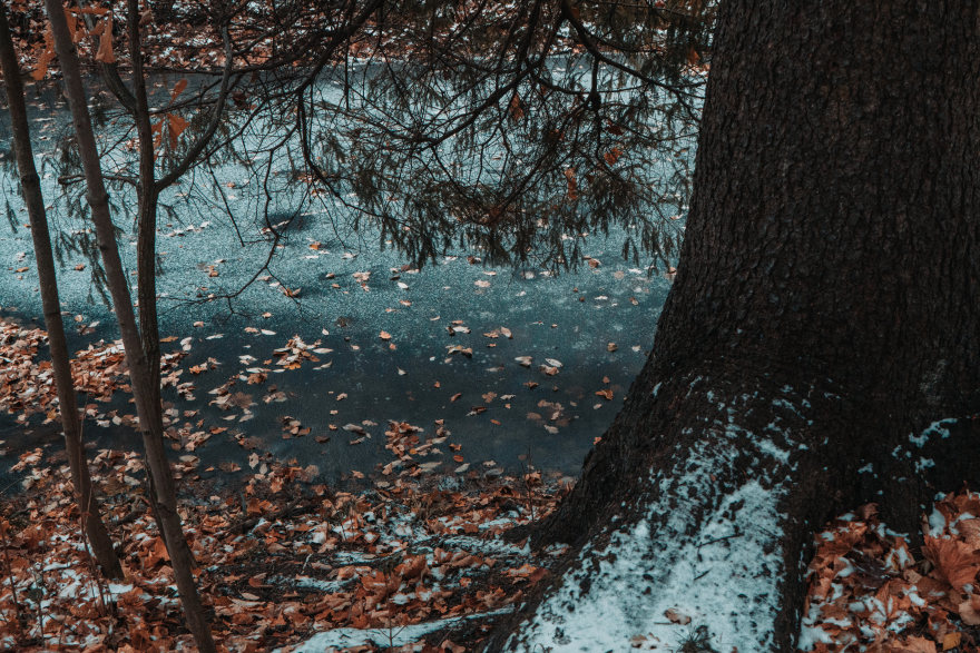 Demidov 庄园周边景观设计-1