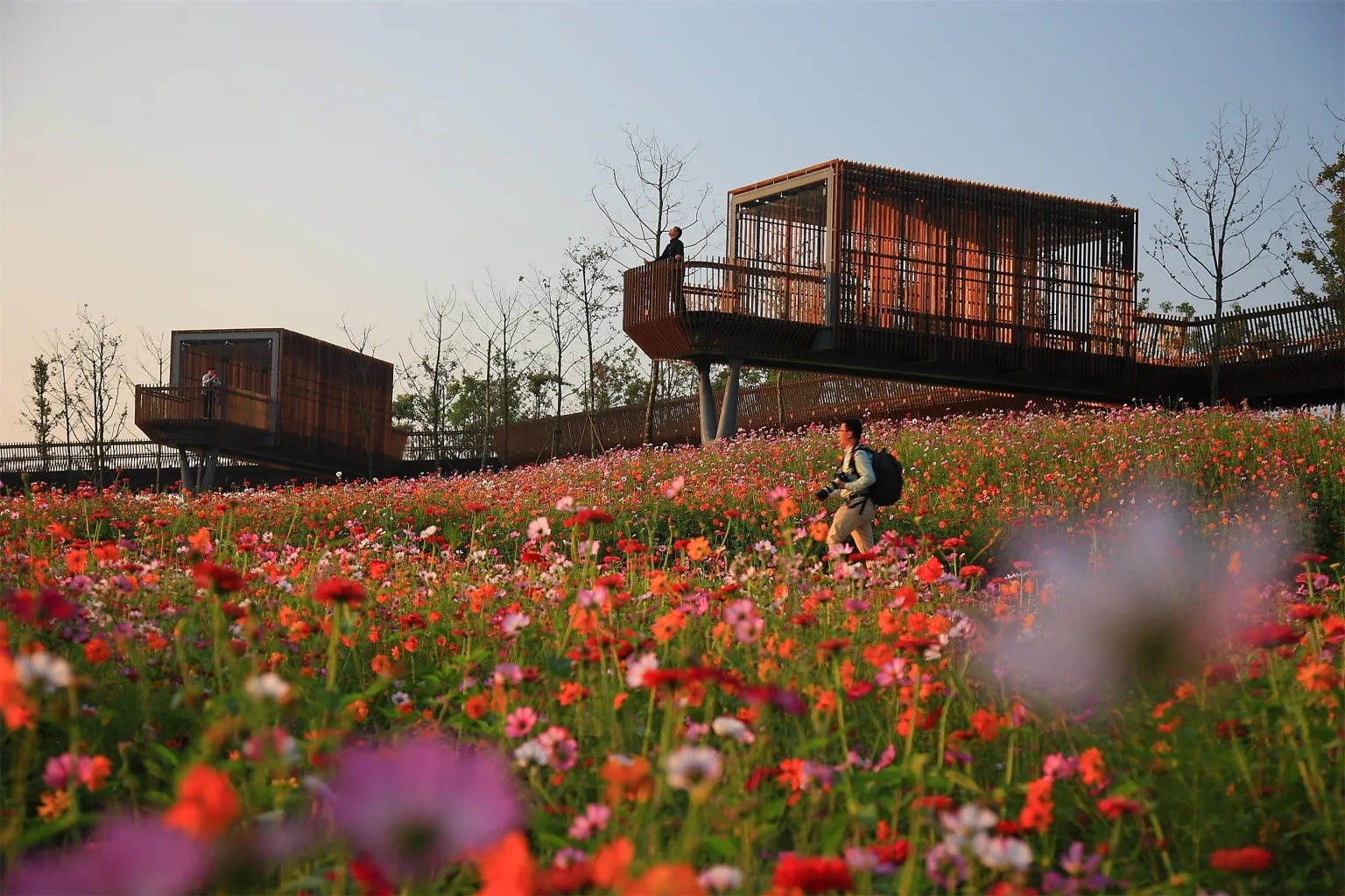 衢州鹿鸣公园丨中国衢州丨土人设计-16