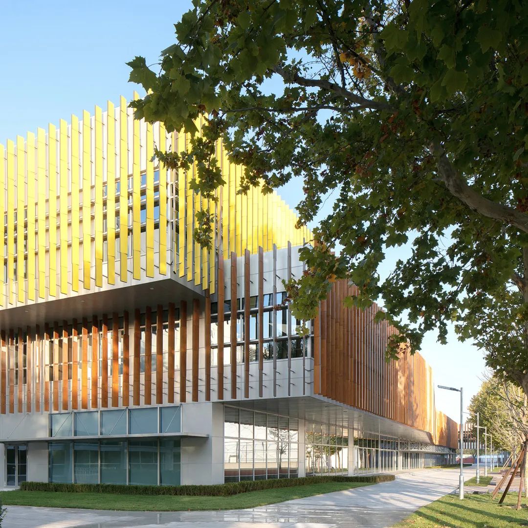 北京顺义国际学校改扩建丨中国北京丨北京和立实践建筑设计咨询有限公司-12