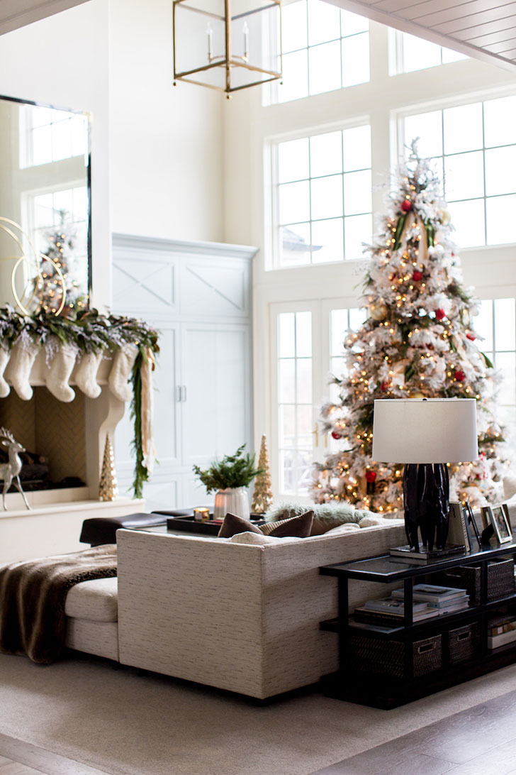 美国圣诞家居魔法装饰-11