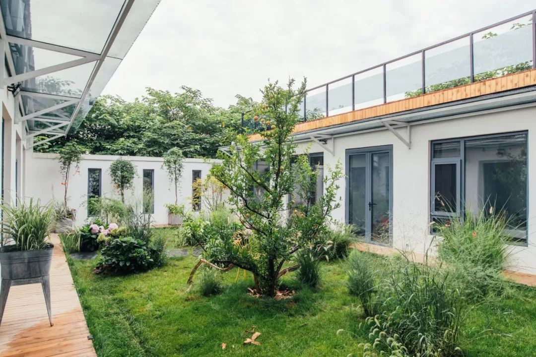 树林中的神仙小院 · 摄影师夫妻 10 万元爆改租住房丨中国北京-69