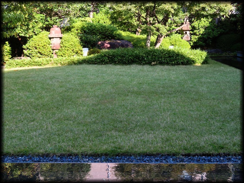 虎屋菓寮京都一条店丨日本京都-14