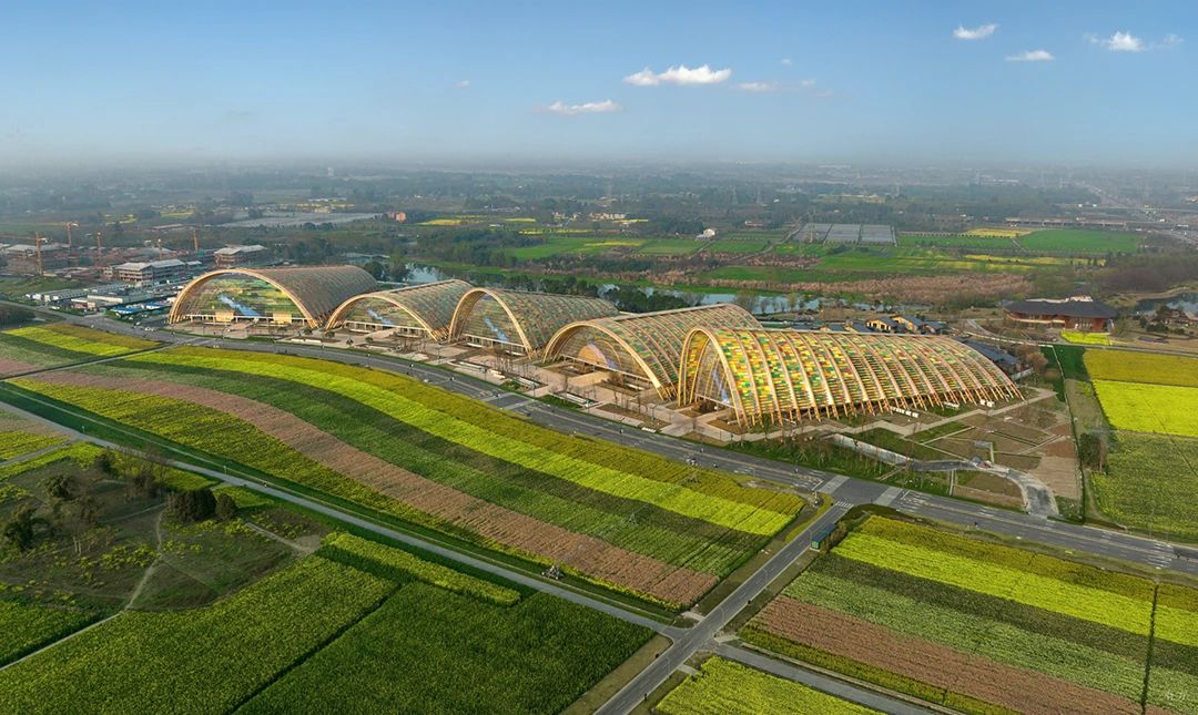 天府农博酒店丨中国成都丨YANG设计集团-3