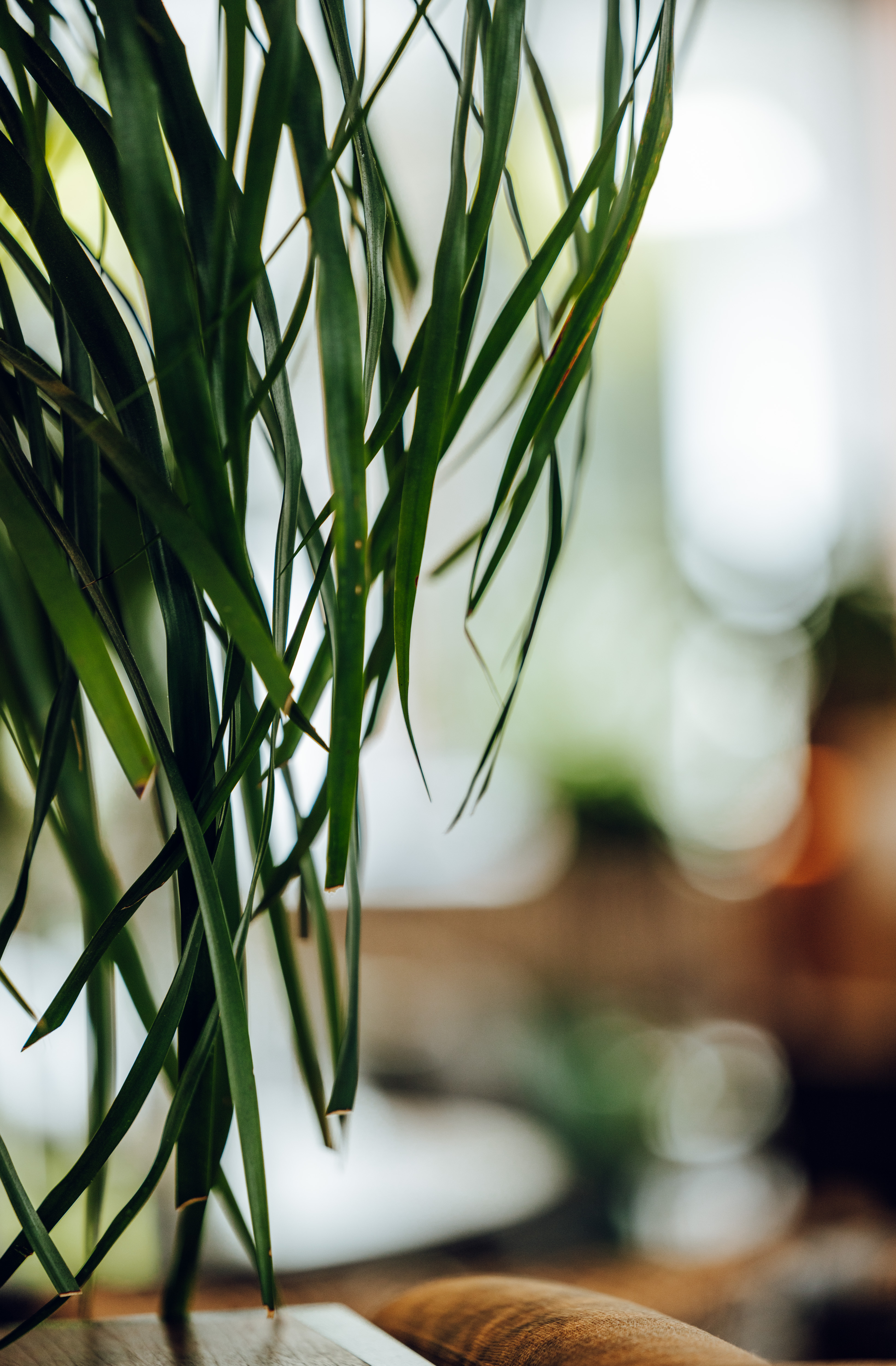 一平方米的静心-13