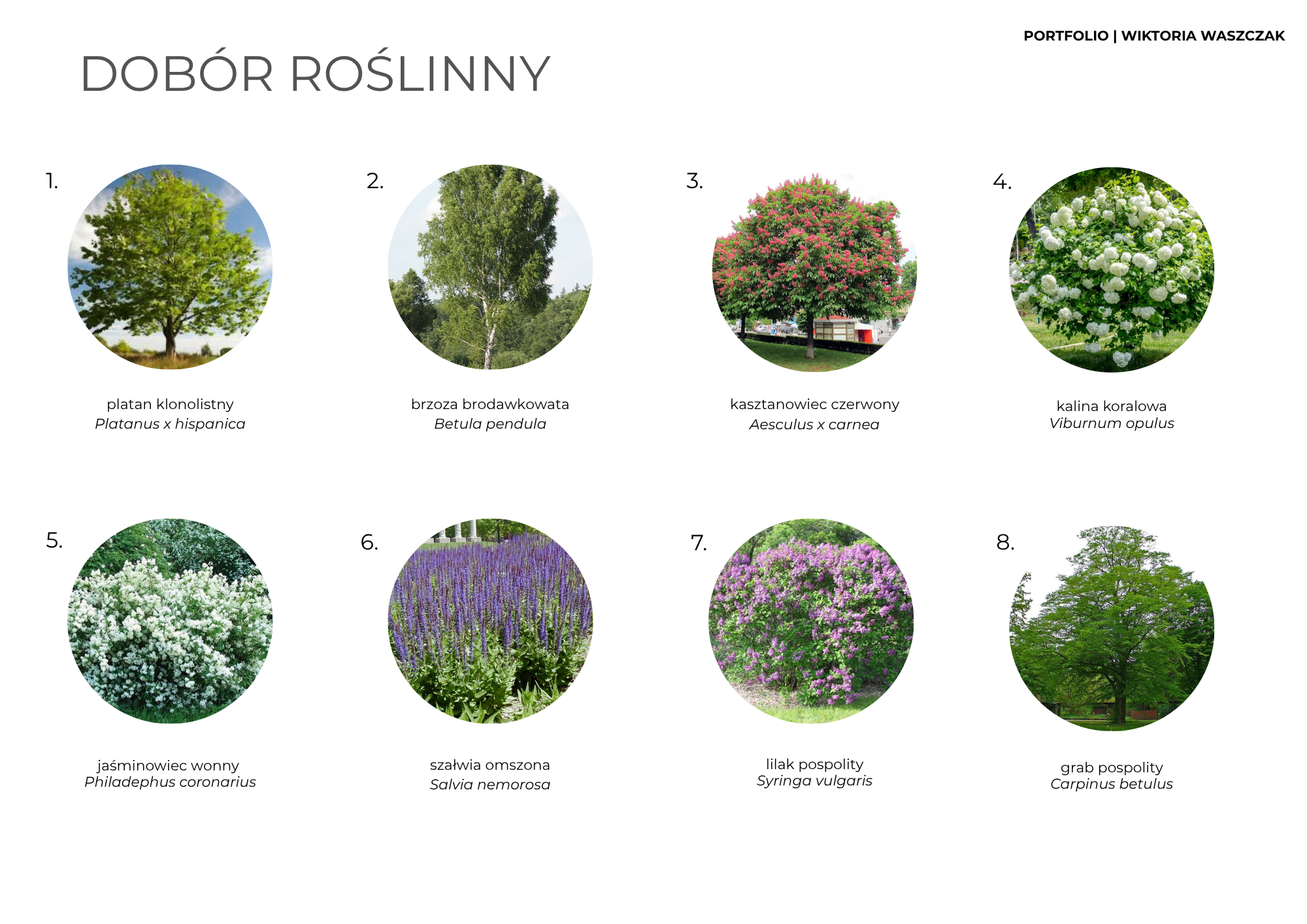 Residential Complex Interior Design-5