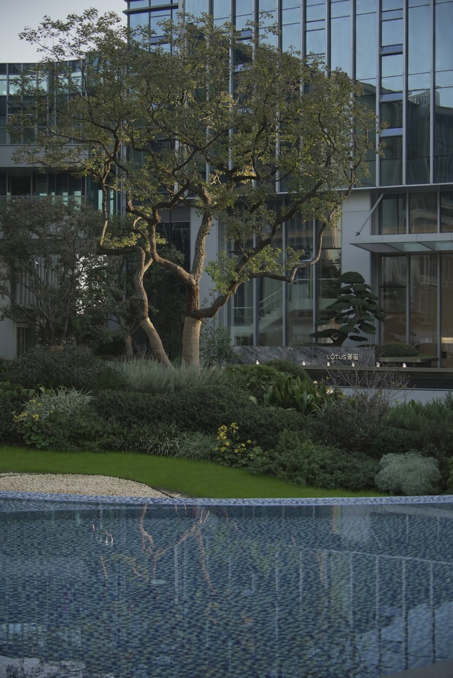 众安·IOC丨中国杭州丨杭州九沐景观设计有限公司-52