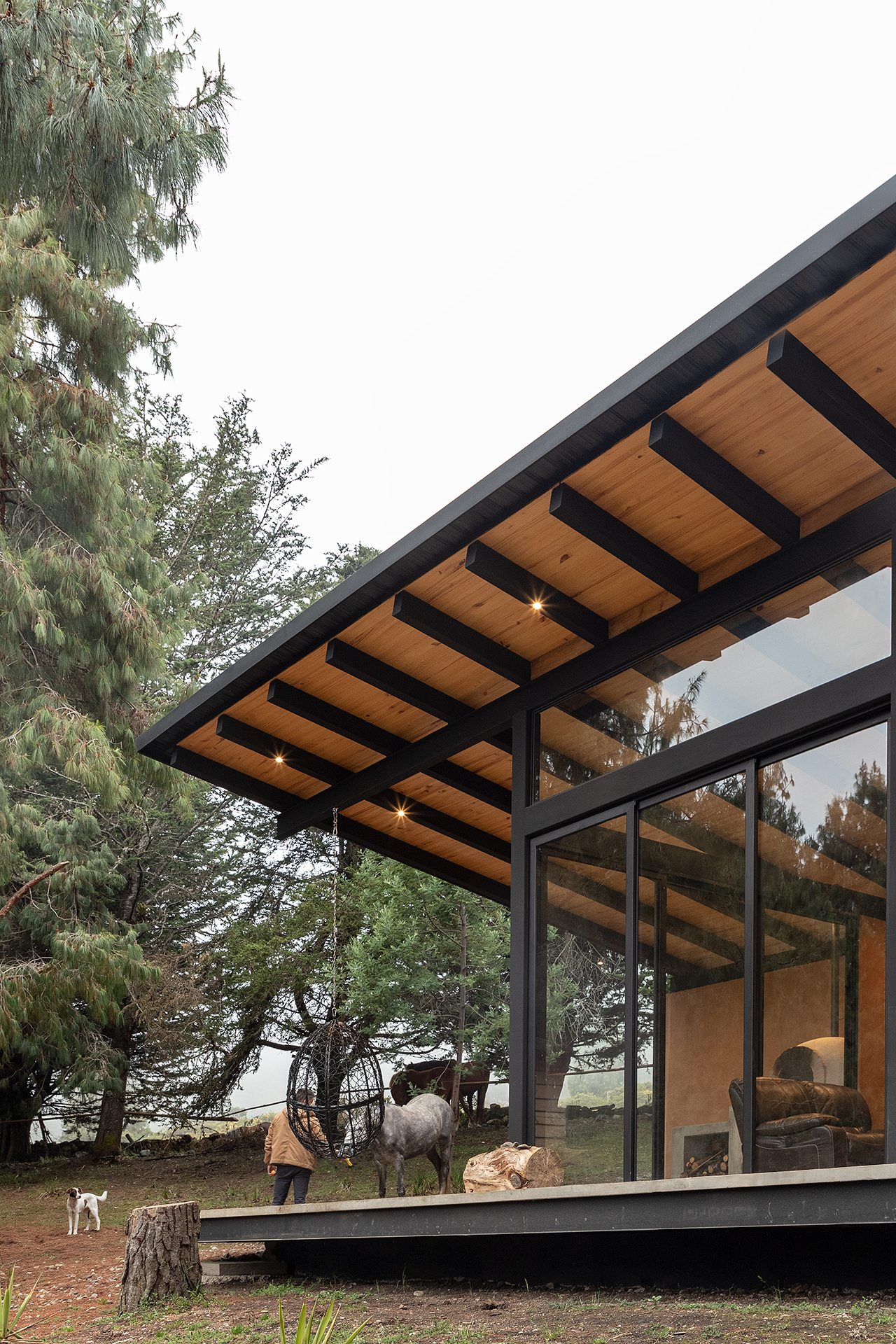 森林之家丨厄瓜多尔阿苏艾丨Abel Guzman Larriva,Juan Vintimilla-10