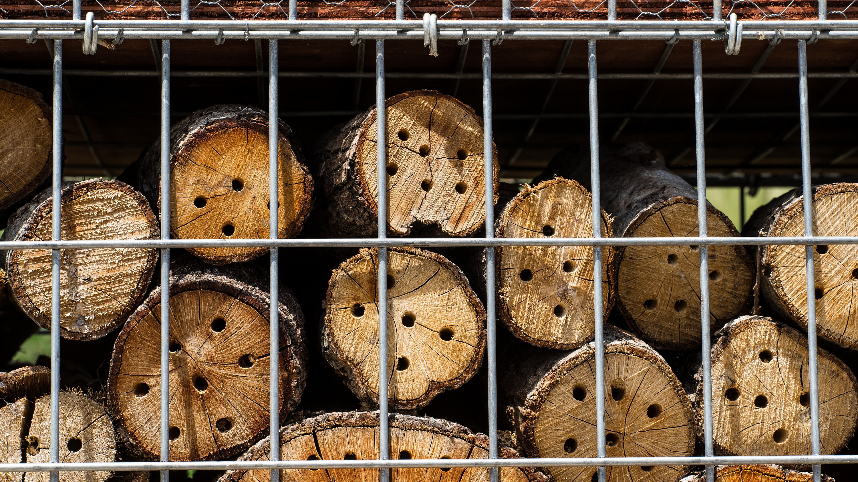 自然之巢 · 昆虫酒店的生态设计-25