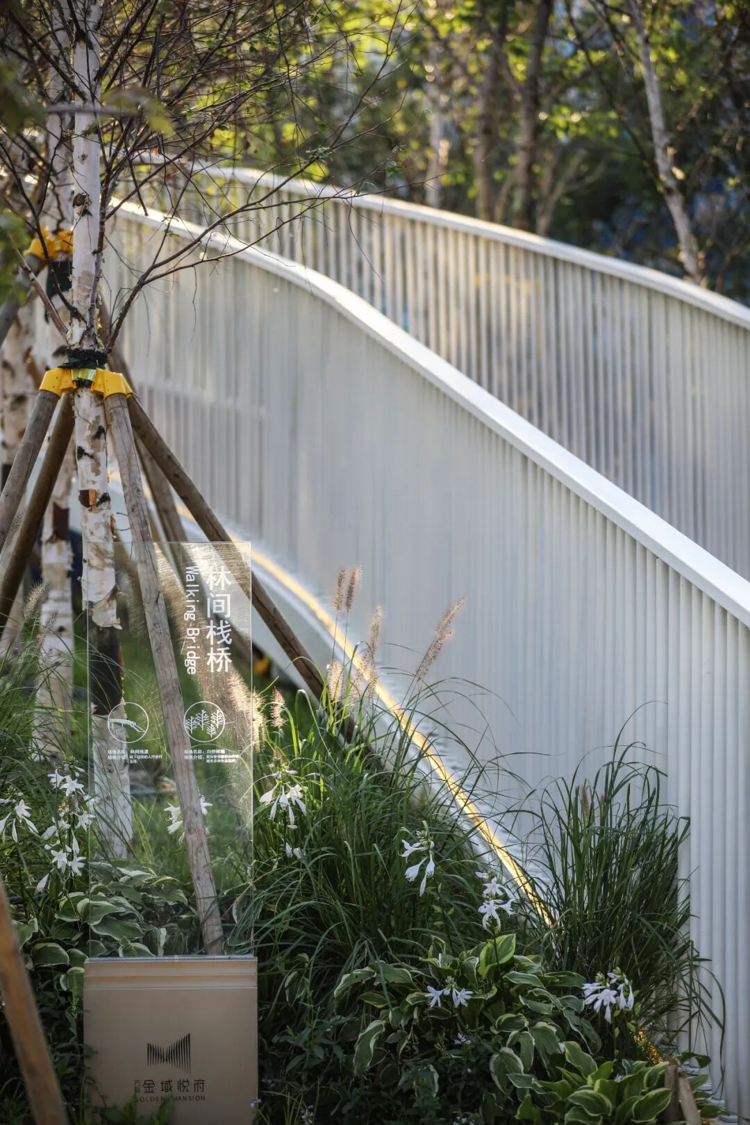 转角遇见暖意，冰城的一抹新绿 万科鲸鱼悦府丨中国哈尔滨丨ZAP ASSOCIATES-44