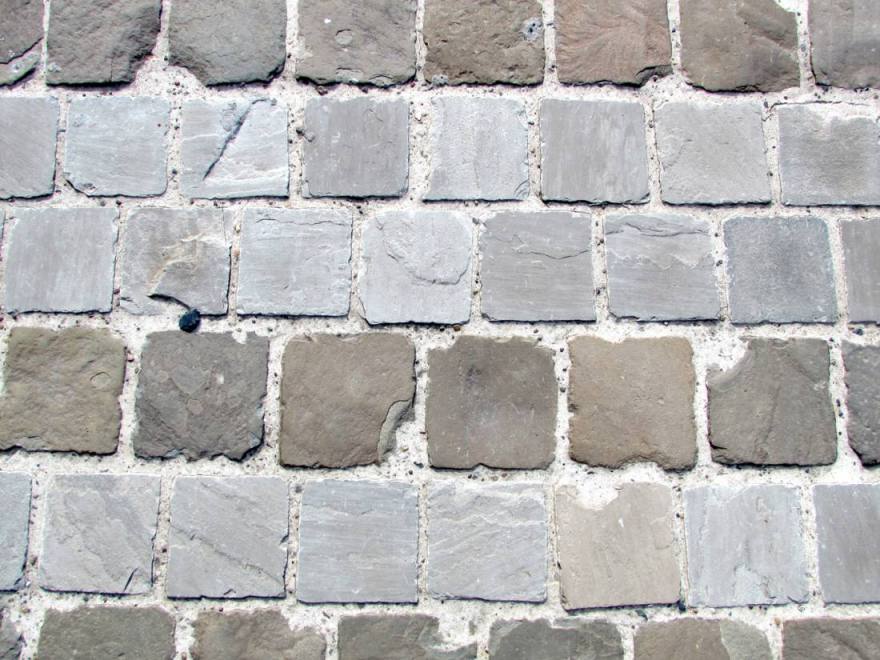 le Jardin du Conservatoire de Roubaix - Empreinte - Bureau de paysages-29