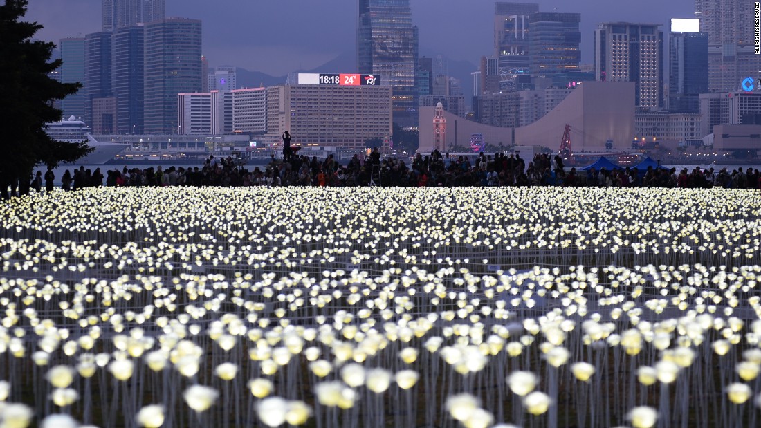 Light Rose Garden HK 玫瑰灯海园 – 香港站-2