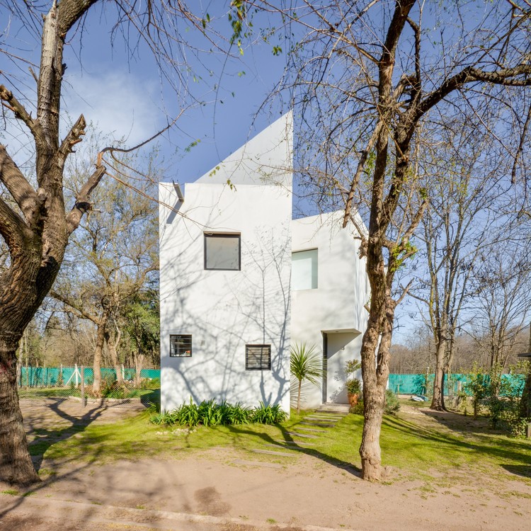 阿根廷相思树森林中的简约住宅群-7