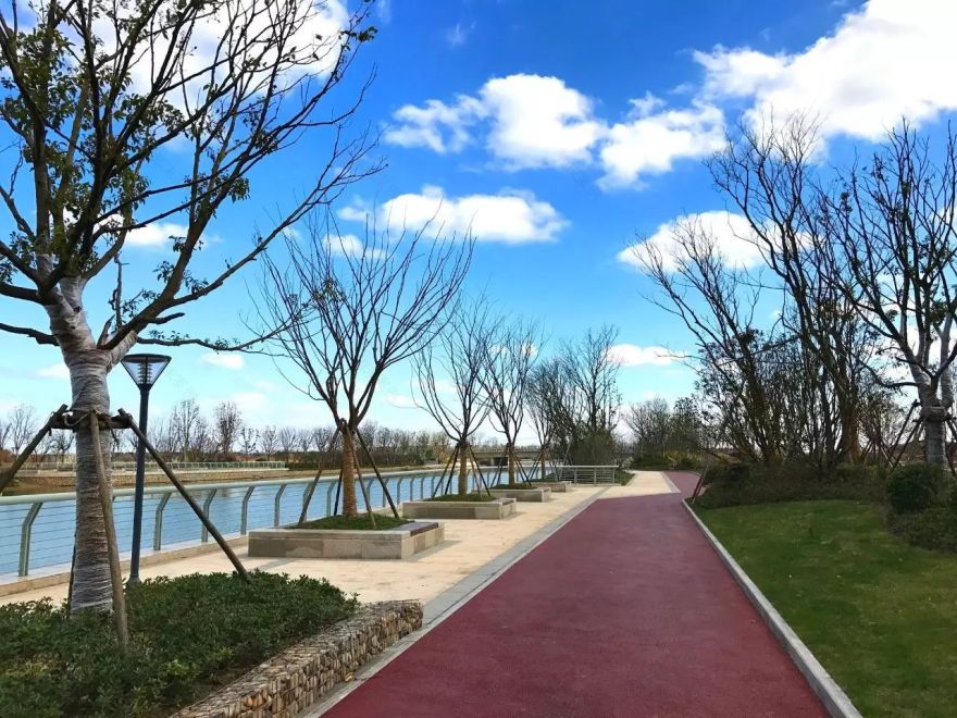 YB. GROUP ♦ 崇明岛-朱雀河公共滨水绿廊-43