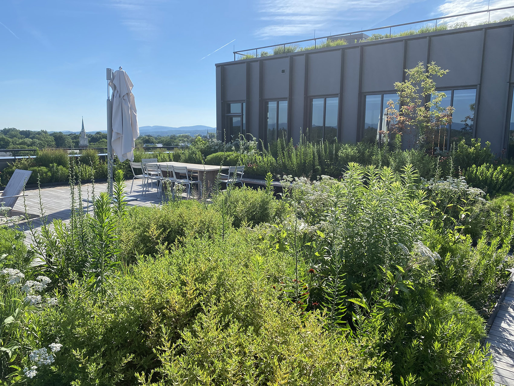 维吉尼亚州夏洛茨维尔企业家发展中心丨美国维吉尼亚丨EskewDumezRipple,WOLF ACKERMAN-124