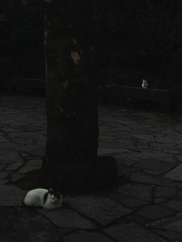 灵隐寺和永福寺丨中国杭州-23