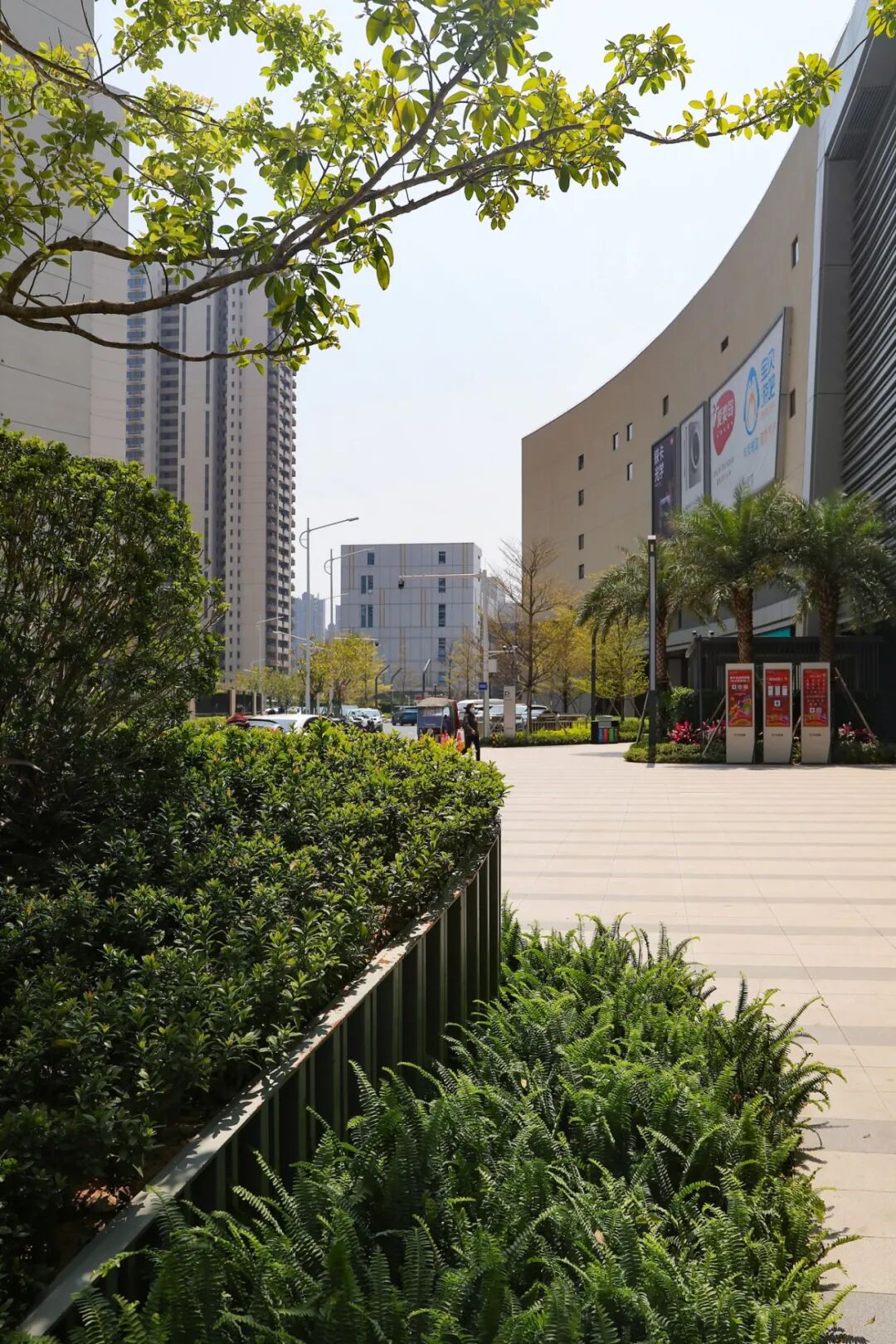 普邦股份项目荣获2025年度珠海市城市园林绿化工程质量奖一等奖-26