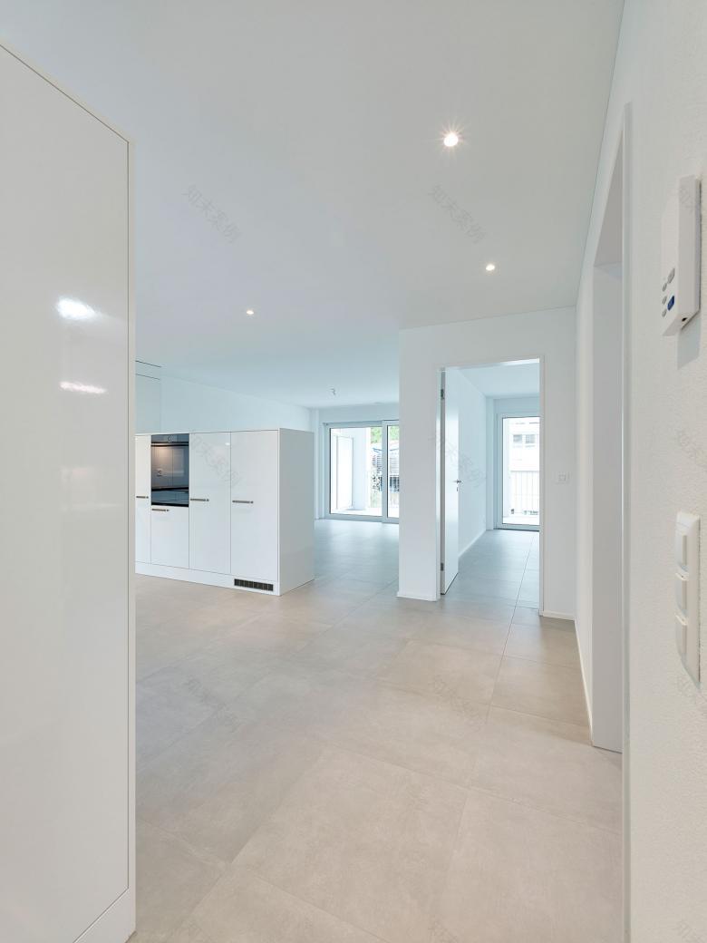 替代新建多户住宅丨瑞士丨Husistein & Partner AG-0