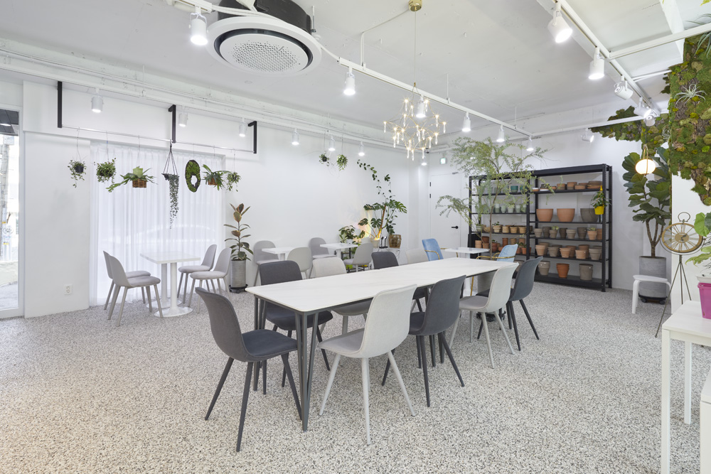 现代植物咖啡厅，30 平米空间里的绿色美学-14