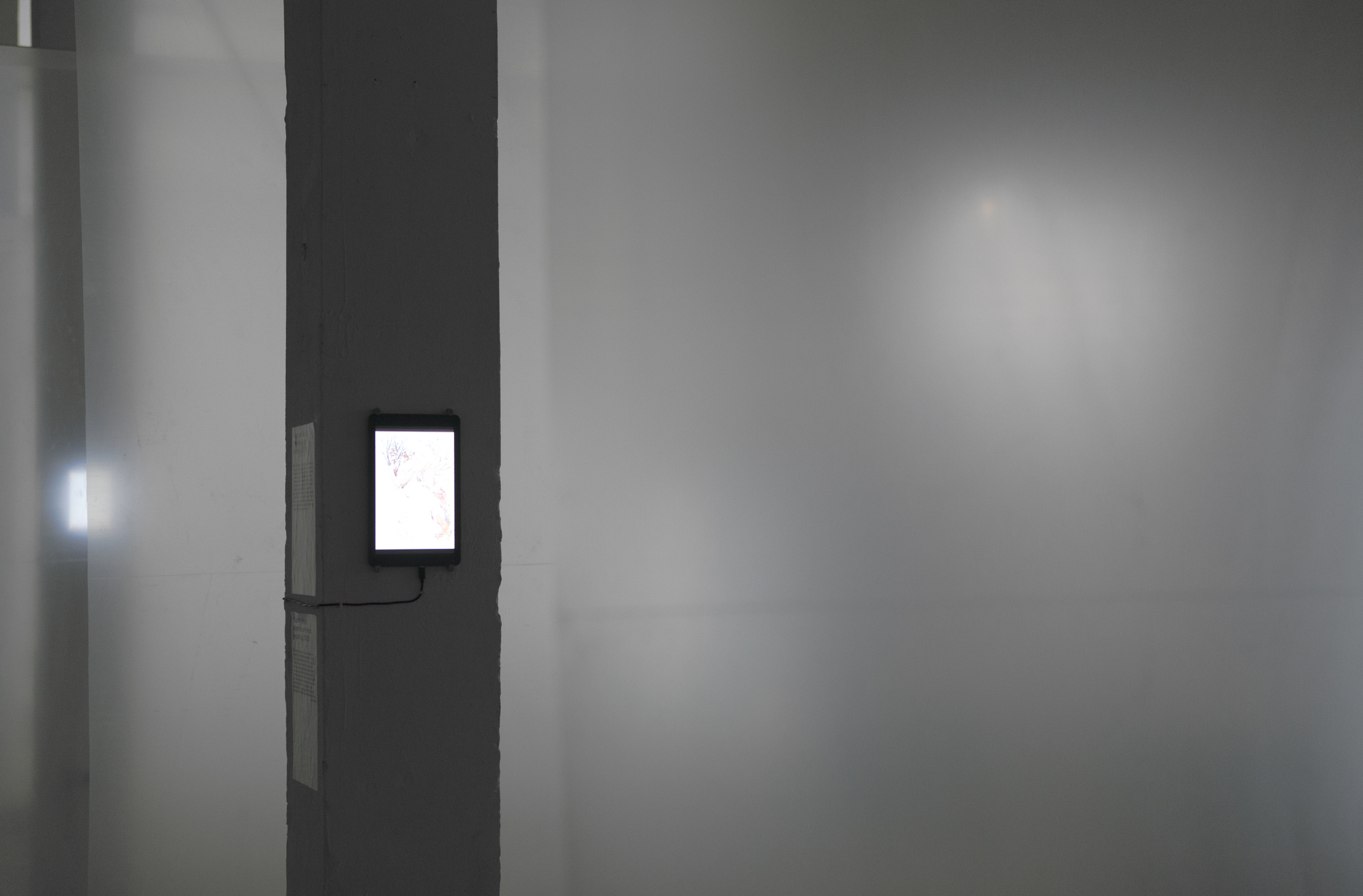 Touchable Distance Exhibition  / Radical Passive-40