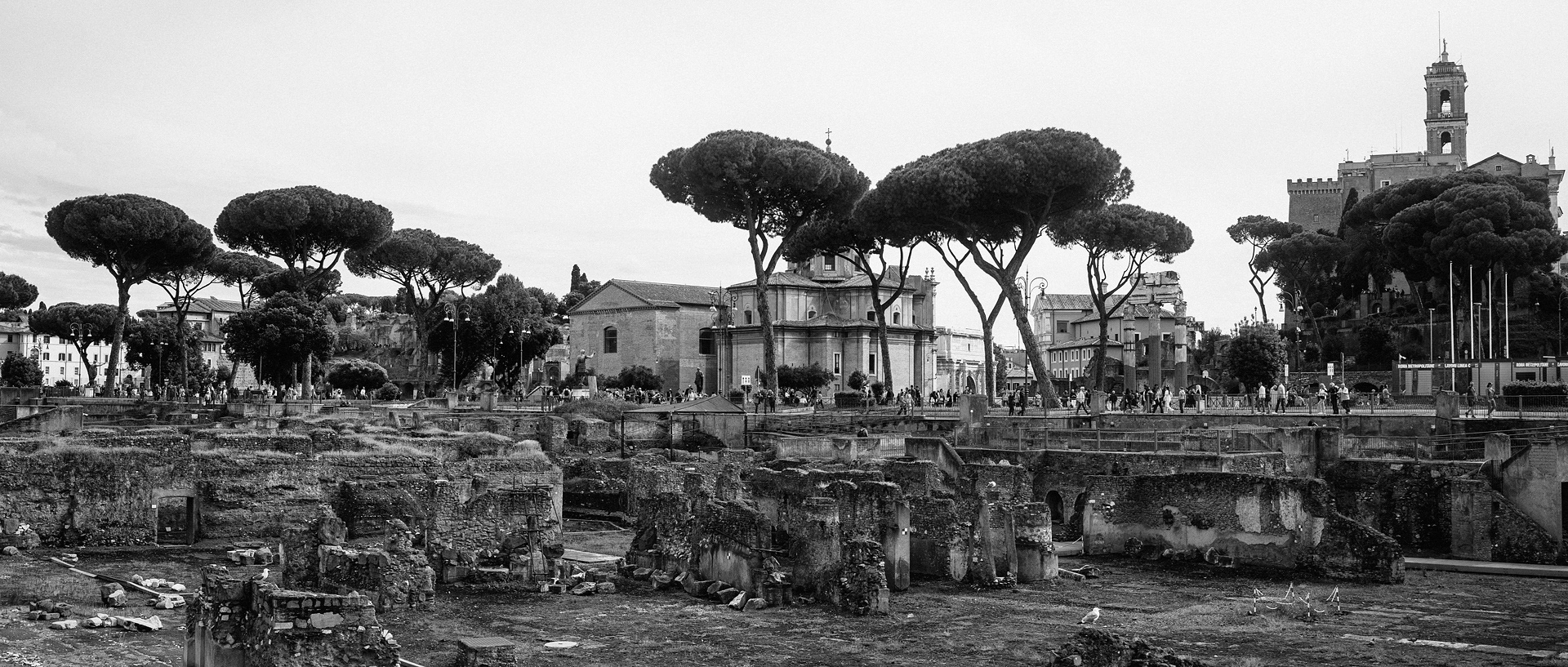 未命名丨Alexander Rentsch-103