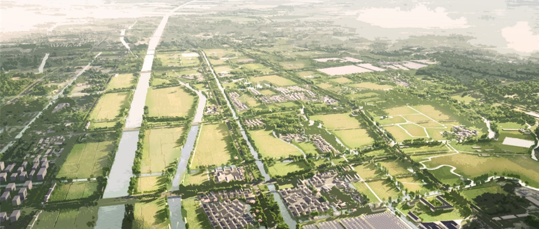 境作|恋“练”春光，“宝藏”踏青地：青浦徐练村，有多好逛？-160