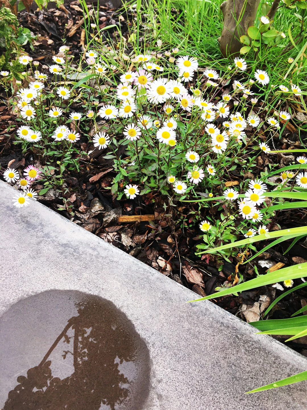 环形大道丨意大利丨Ghisellini Architetti-19