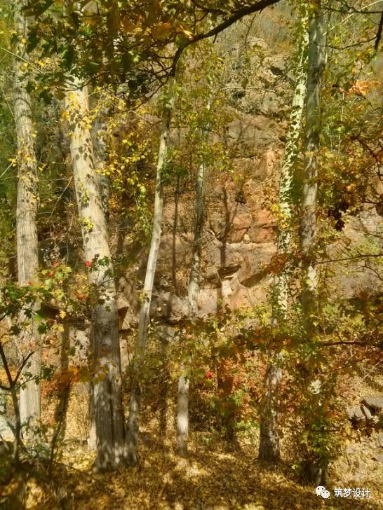 听闻 |这个春天到北京看树屋-18