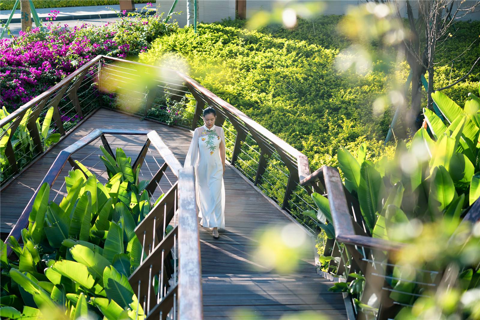 四川攀枝花中央公园-26