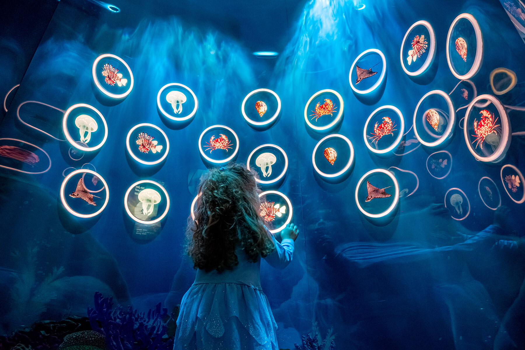 2019 National Museum of Qatar | Family exhibits — OPERA Amsterdam-12