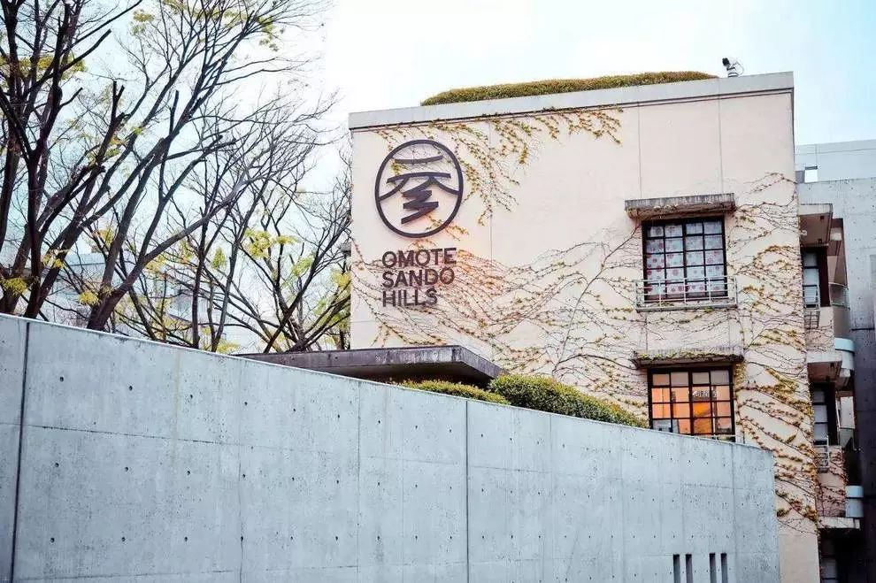 日本东方研习收获 | 情感、留白与冥想-16