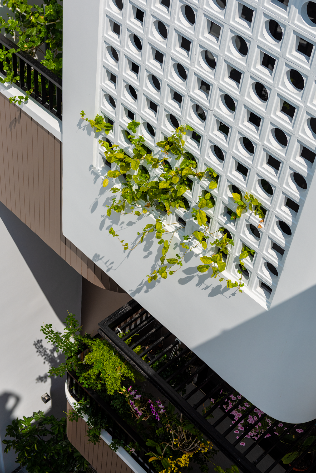 绿意盎然，宜居城市之家-4