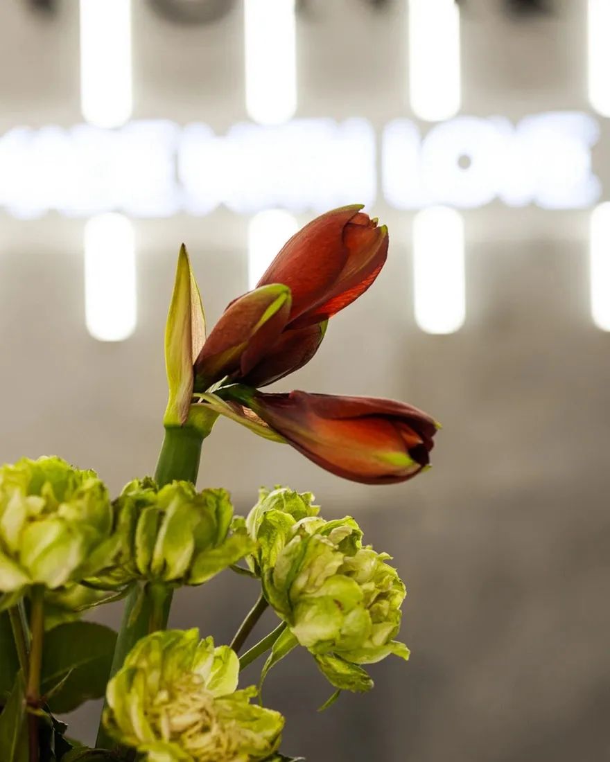 Zvonko 全新商店设计丨白俄罗斯明斯克丨Deconova 建筑设计工作室-26