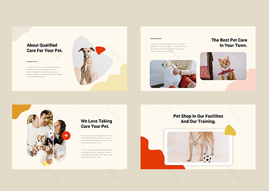 宠物店展示模板-5