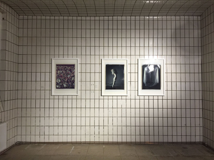 维也纳艺术周 | 探讨美与美的表达-61