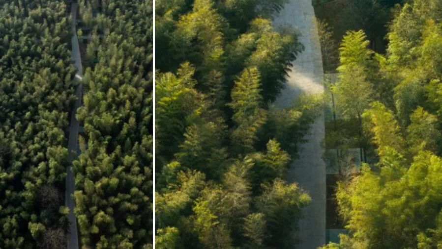 让建筑与自然完美交融：宜兴西岸凰川精品酒店-25