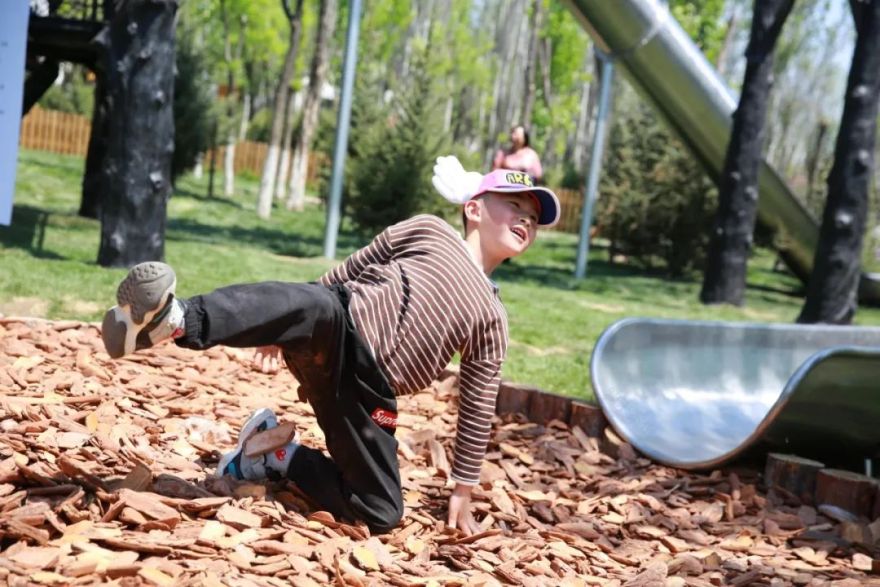 黑森林 | 儿童乐园的黑色艺术-75