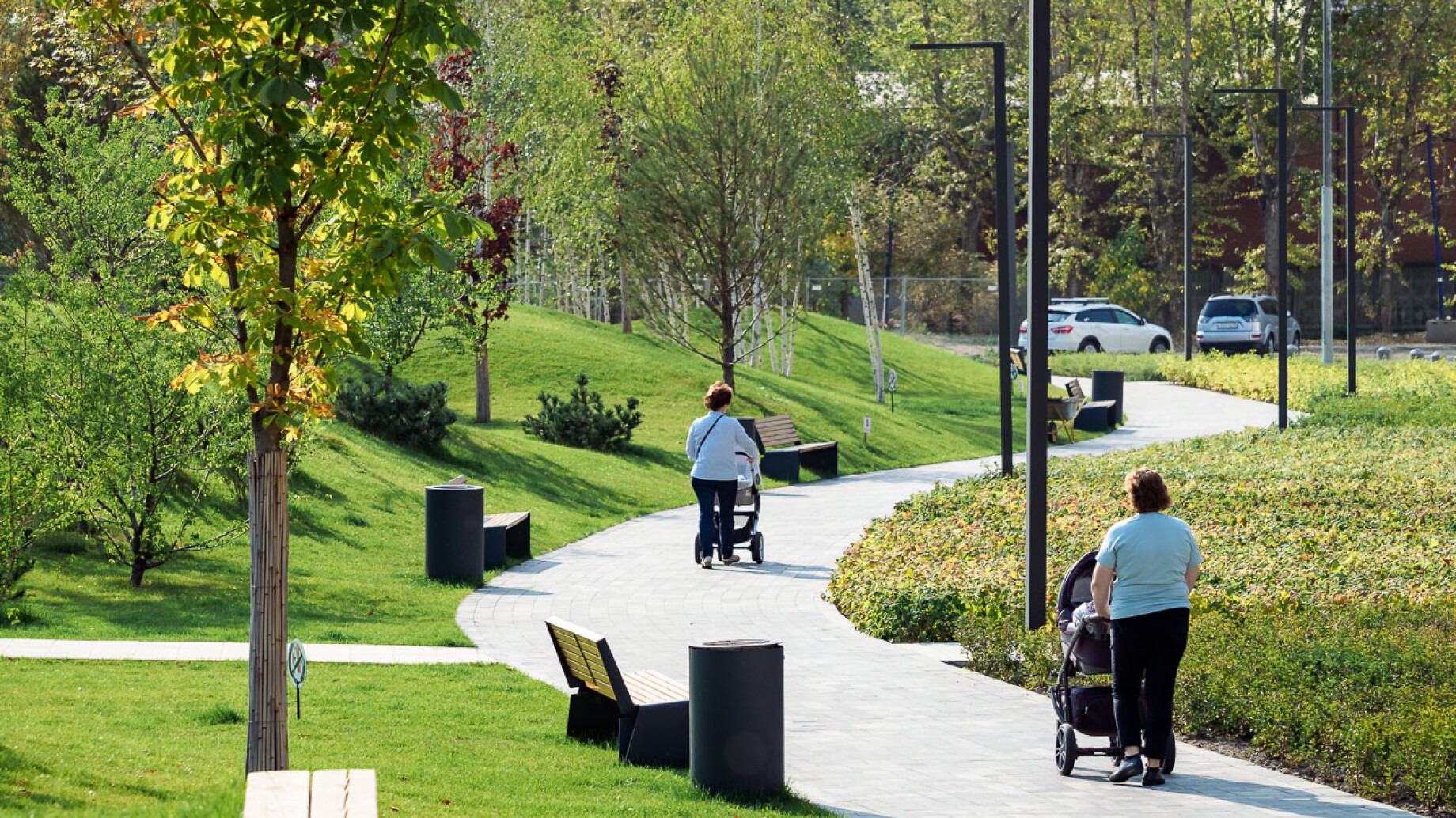 阿法区21、19街区的林荫道-1