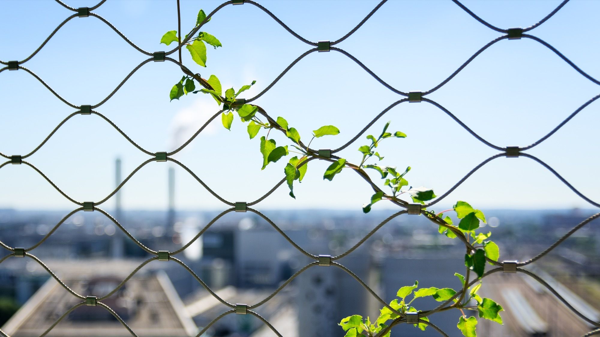 巴黎垂直绿洲 | M6B2 生物多样性塔-33