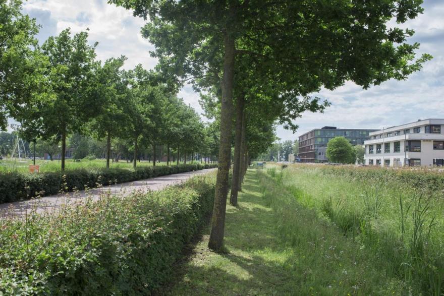 Wageningen大学校园监督及空间开发项目丨Loos van Vliet,Quist Wintermans等多家-8