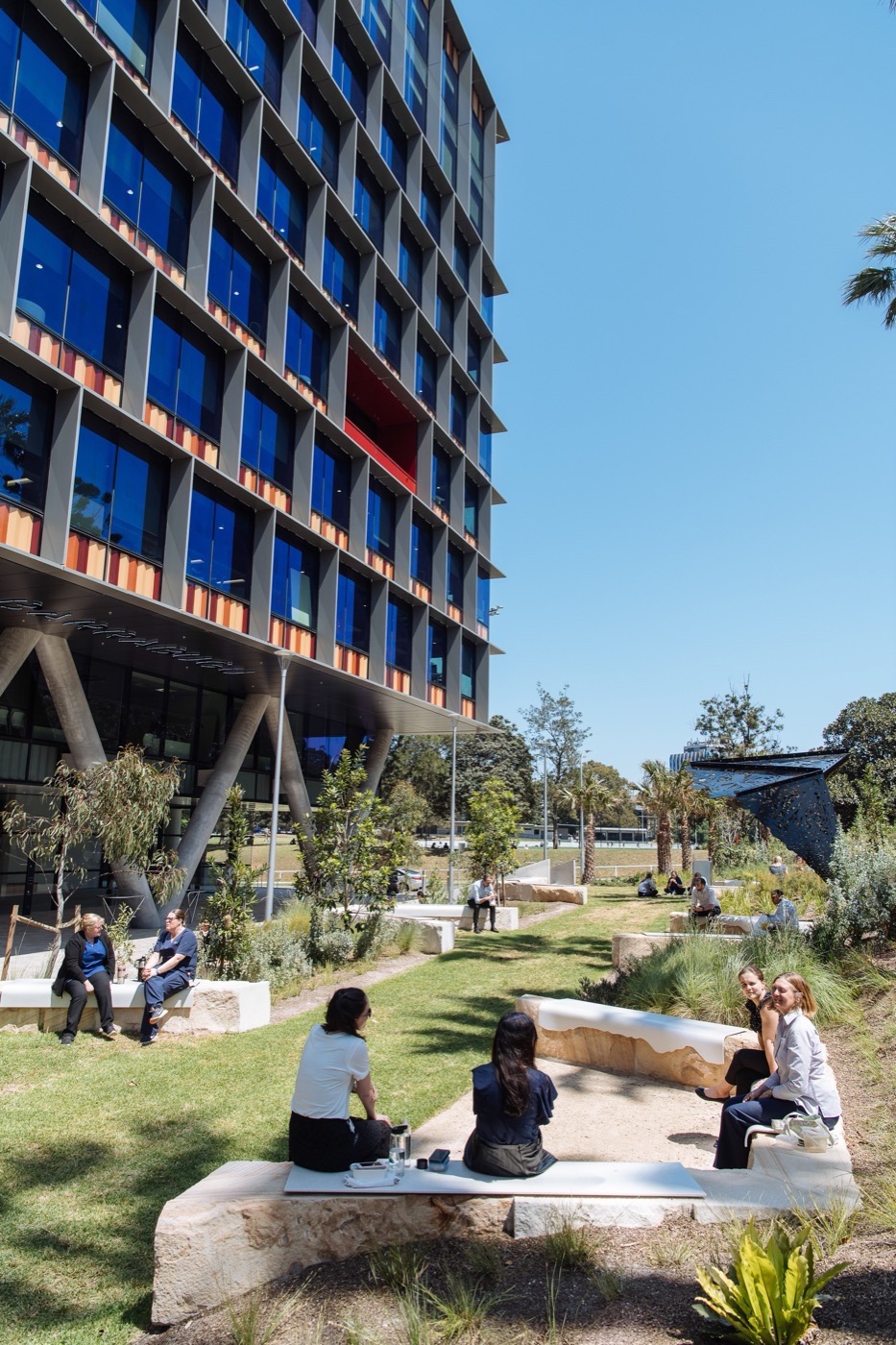 悉尼 St Leonards 健康组织迁址丨澳大利亚悉尼丨Arcadia Landscape Architecture-10