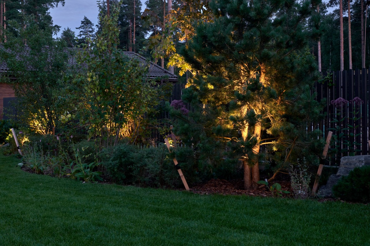 茉莉藓丨俄罗斯丨«ХВОЯ ландшафтное строительство»-17