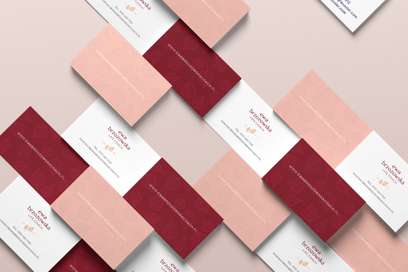 Ewa Brzozowska Life Coach品牌形象设计-18