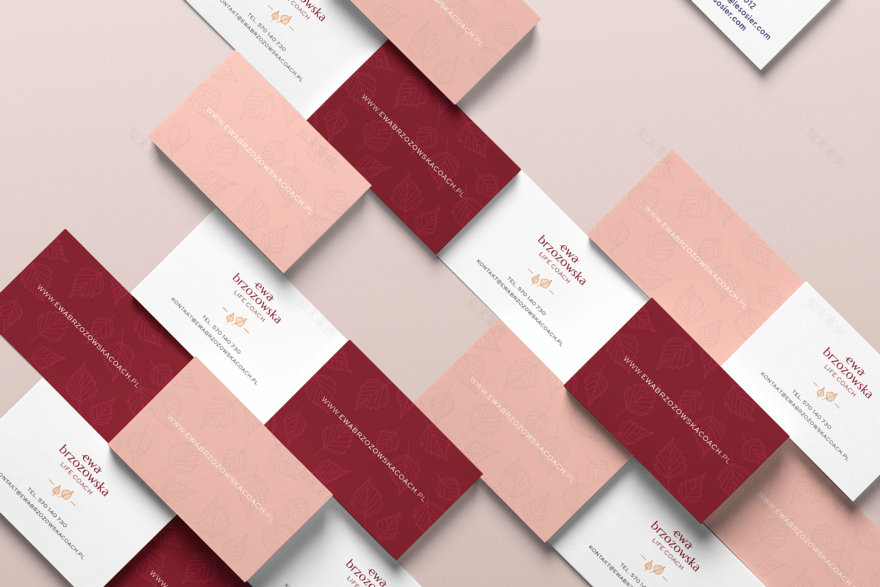 Ewa Brzozowska Life Coach品牌形象设计-18